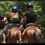 Horseback Riding in Cancun Includes ATV, Cenote, Ziplines, Lunch and Transfer