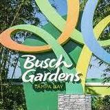 Busch Gardens Tampa Bay