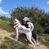 Go for a hike!