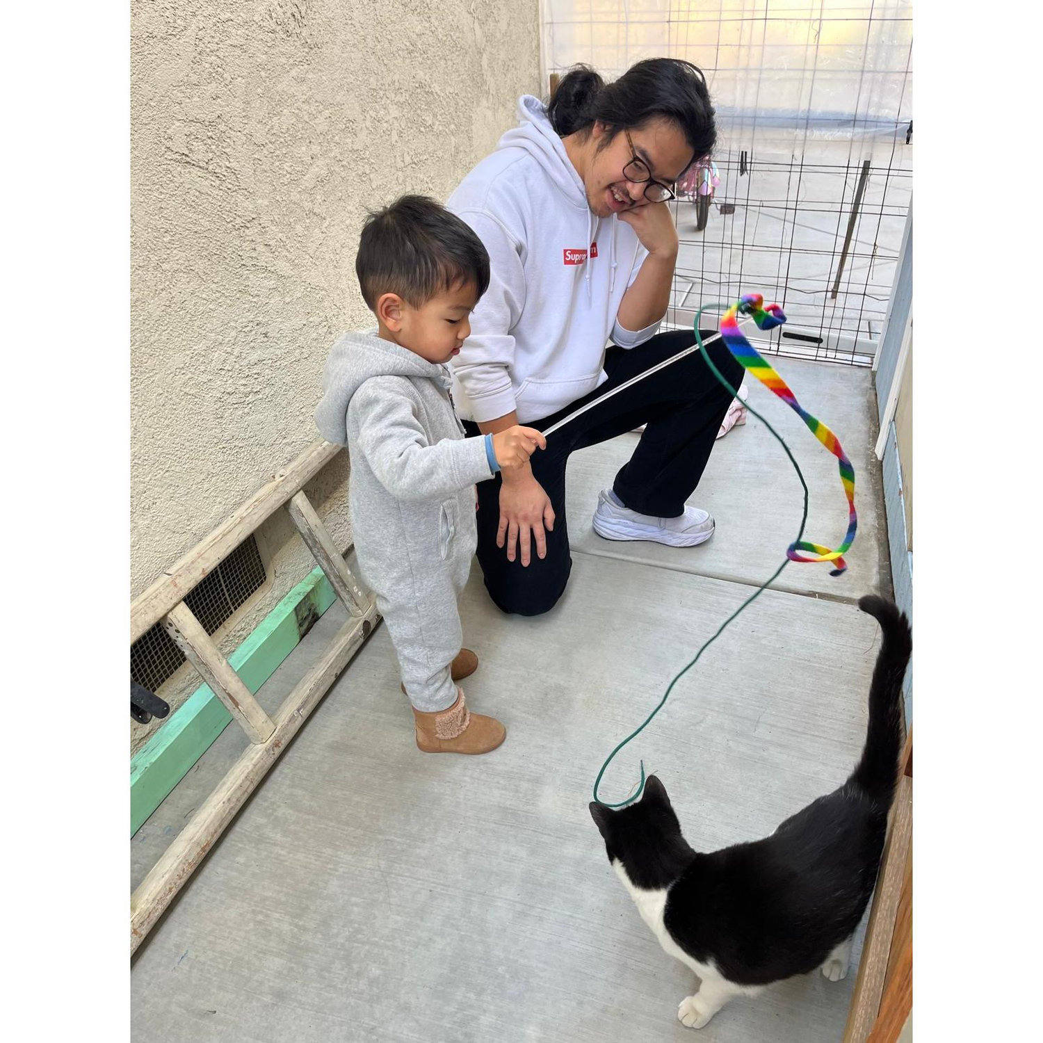 The cats love the kids. It's mutual.