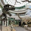 North Carolina Museum of Natural Sciences