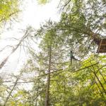 Adirondack Extreme Adventure Course