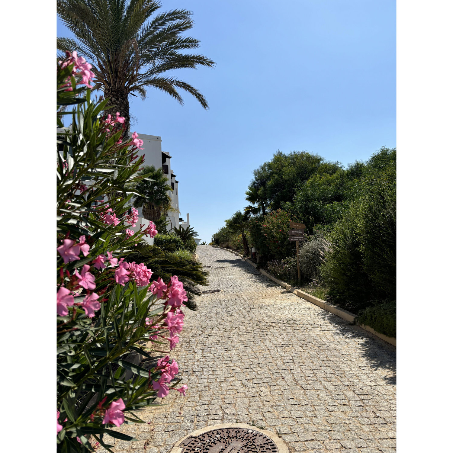 Walking path to the pools/restaurants/cliffs/beach!