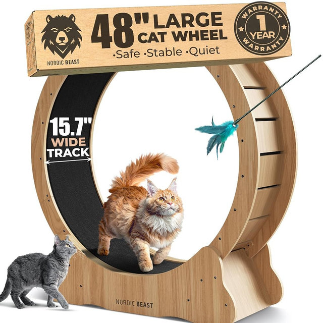 Walnut Wood 48'' XL Cat Wheel - Cat Wheels for Indoor Cats Which Doesn't Negatively Affect Your Cat's Spine - 15.7'' Extra Wide Walnut Exercise Wheel - Fits 2 Cats Side-by-Side, 1-Year Warranty
