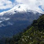 Los Nevados National Park