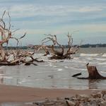 Jekyll Island