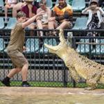 Australia Zoo