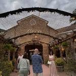 Nino's Cucina Italiana