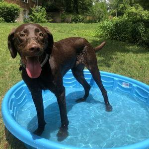 Pool Fund