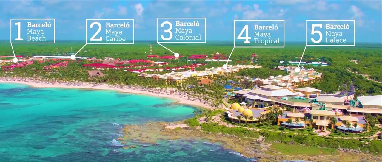 The Wedding Website of Maryorie Tapullima and Tyler Nasr