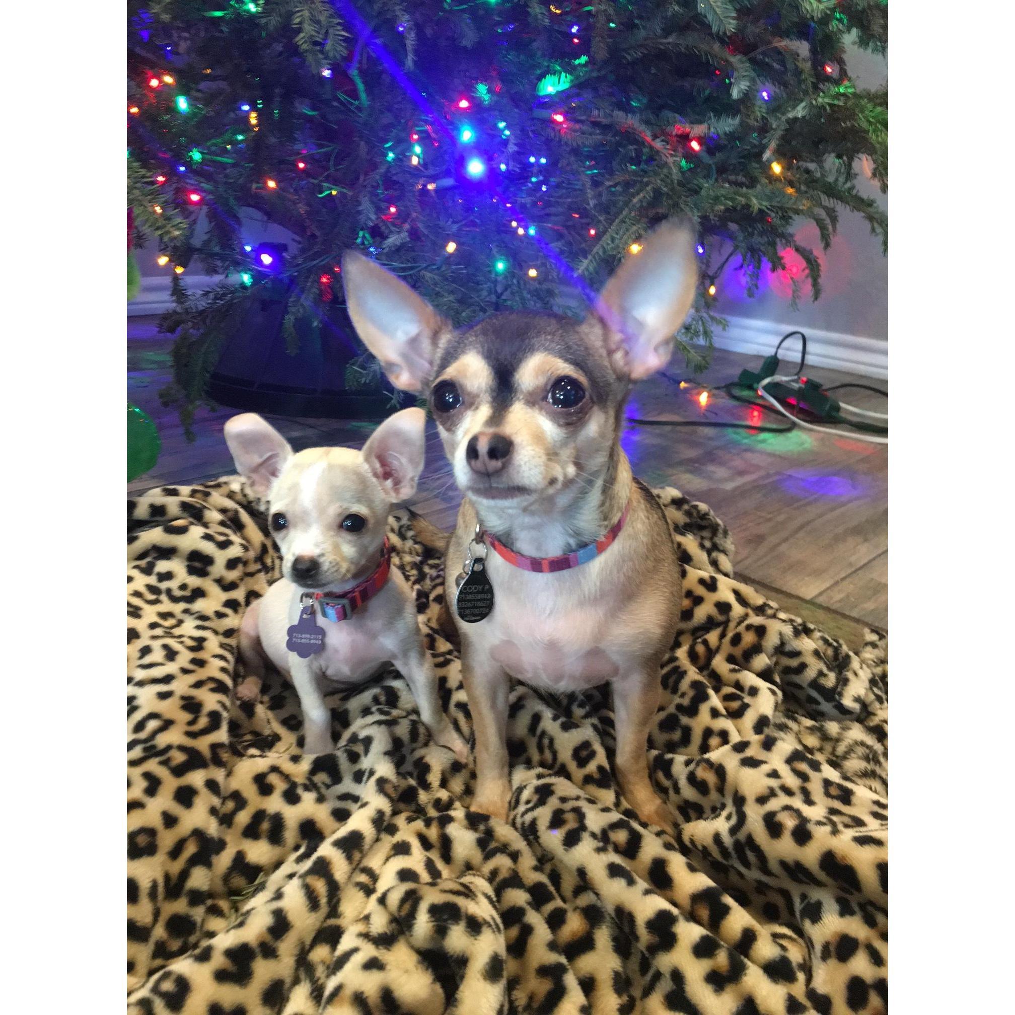 The best children in the world