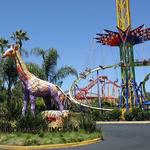 Six Flags Discovery Kingdom