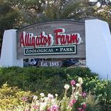 St. Augustine Alligator Farm Zoological Park