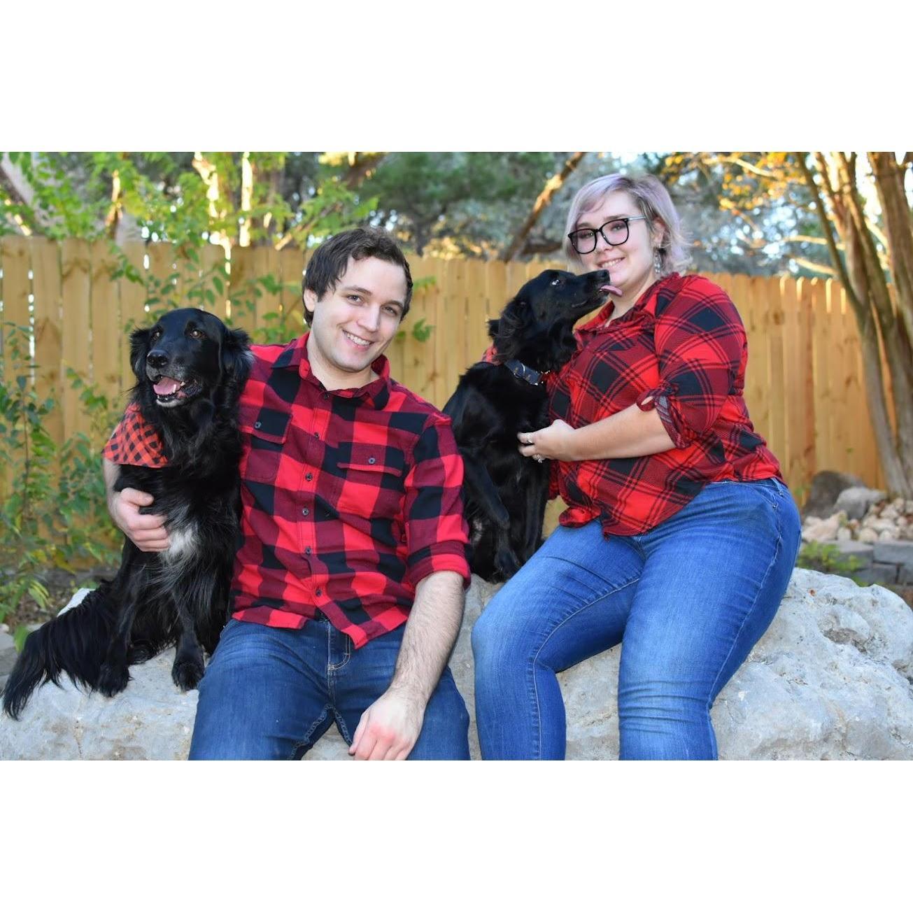 Getting both of the dogs to sit still for Christmas photos was no easy task!