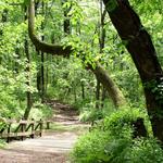 Watchung Reservation