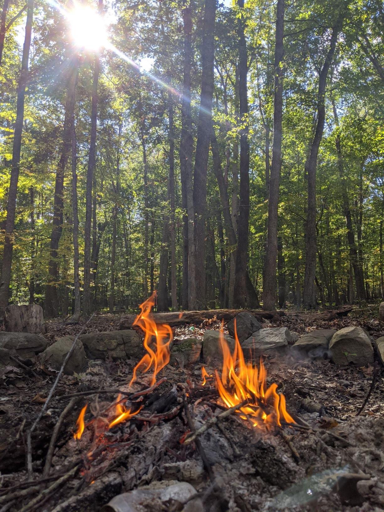 The Wedding Website of Patrick Brende and Mark Hofberg