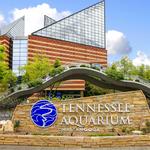 Tennessee Aquarium