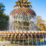 Pineapple Fountain