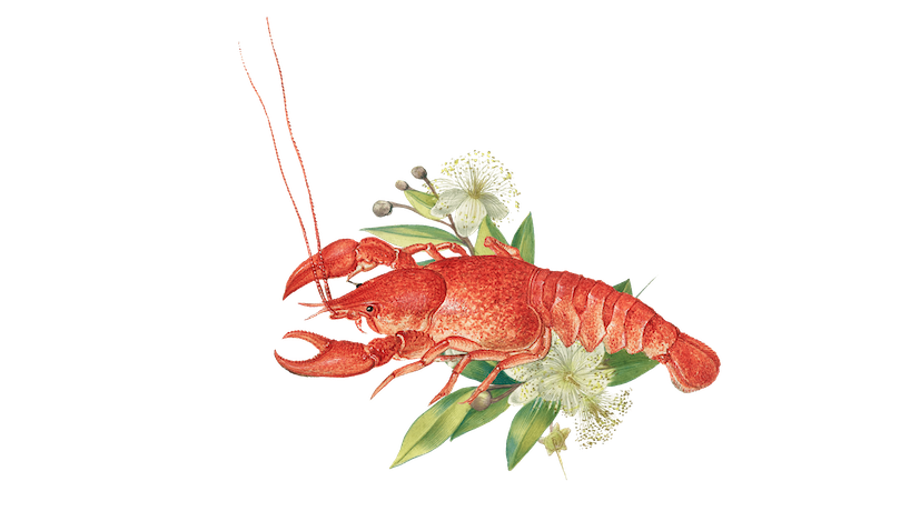 Footer image