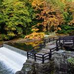 McConnells Mill State Park