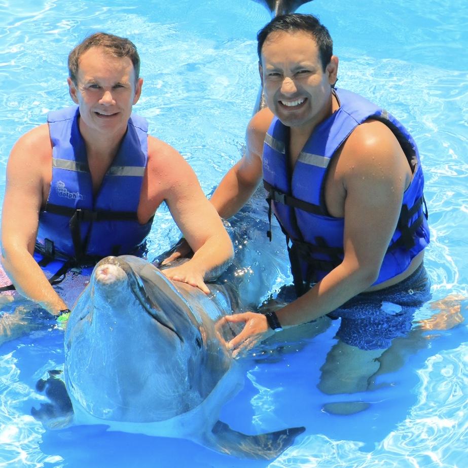 Dolphin tales in Mexico, 2023.