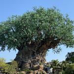 Disney's Animal Kingdom Theme Park