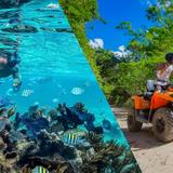 ATV Tour & Reef Snorkeling
