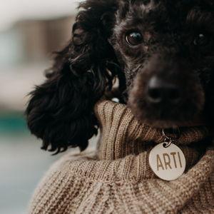 A lifetime of Poodle Treats