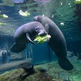 Columbus Zoo and Aquarium
