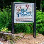 Bear Hollow Zoo