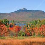 Leaf Peeping