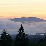 Hike up Mount Tamalpais