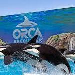 SeaWorld San Diego
