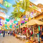 Wander Sayulita