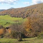 Hiking