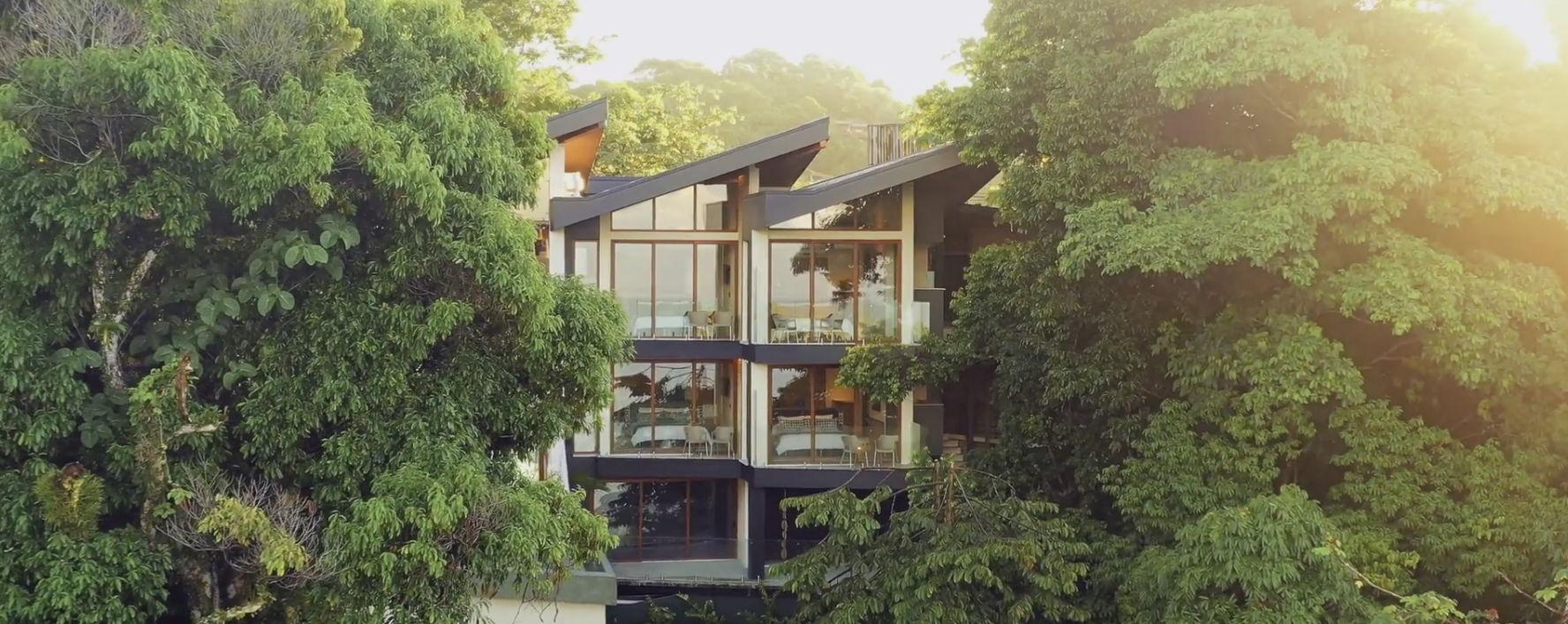 The Wedding Website of Nia Jones and Raheem Persad