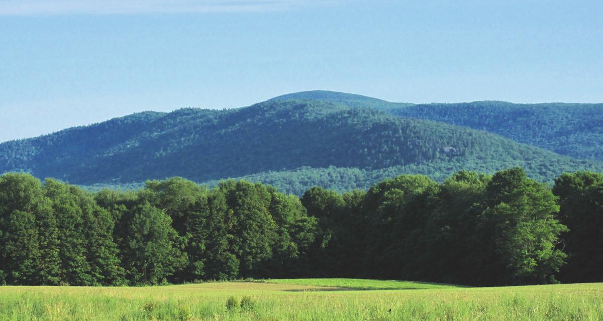 The Wedding Website of Anne Zwerner and Andrew Smith