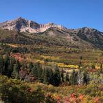 Snowbasin Resort