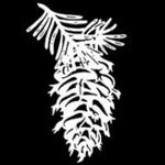 Conifer Bentonville