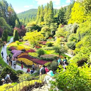 Butchart Garden Tour