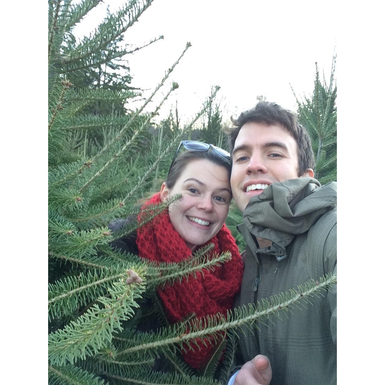 Our first christmas tree!