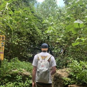 Honeymoon Hotel - Bodhi Tree