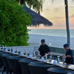 Dinner - Sunset Sushi