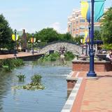 Carroll Creek