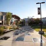 Walk of Fame Park