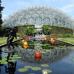 Missouri Botanical Garden