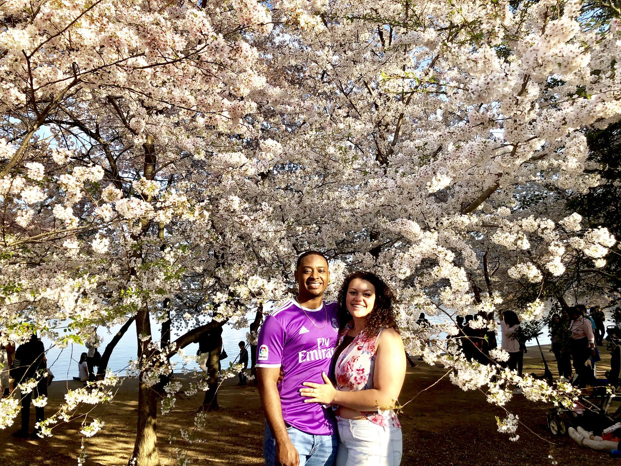 Cherry Blossom Season, DC