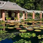 Huntsville Botanical Gardens