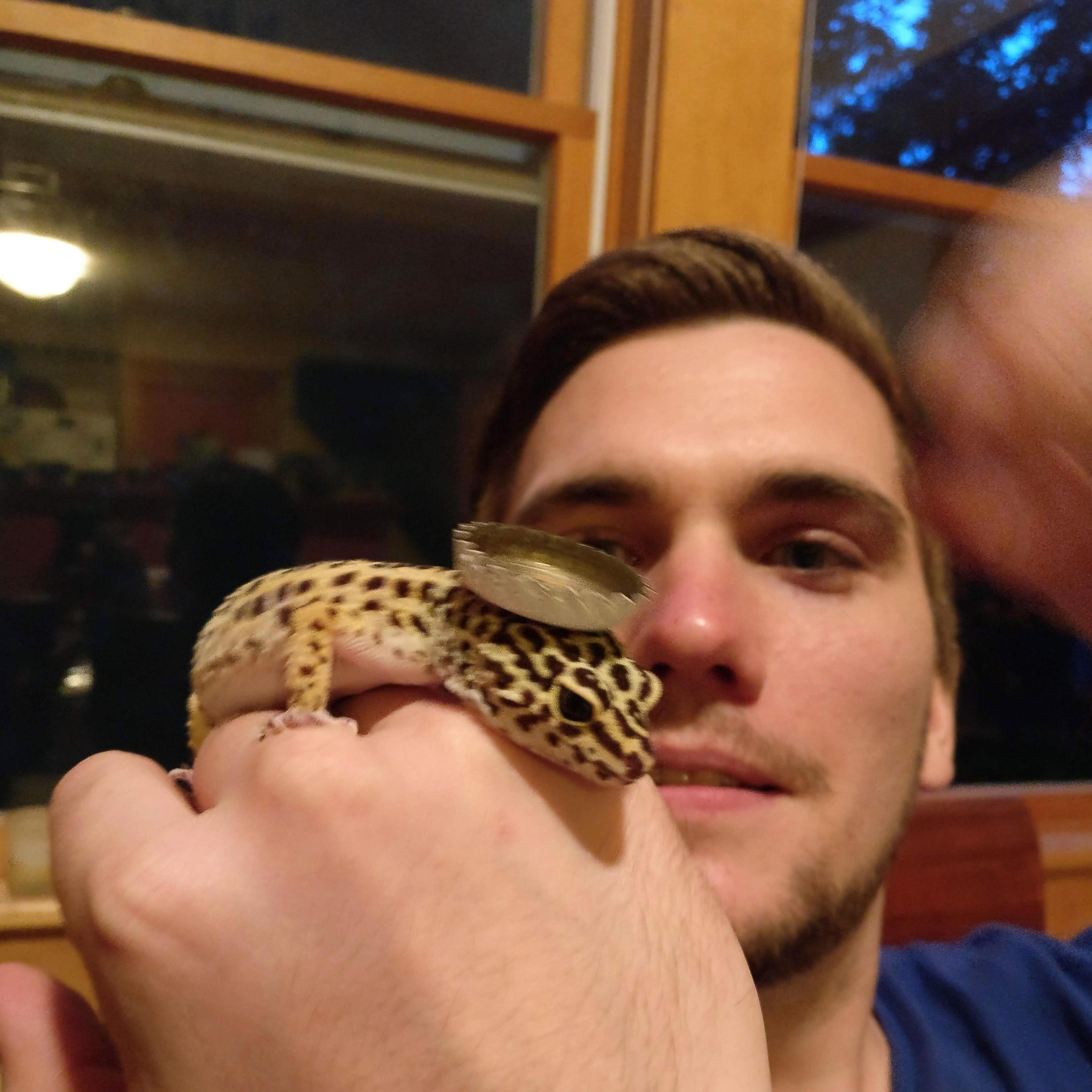 Gecko the gecko, Northampton, MA, July 2017