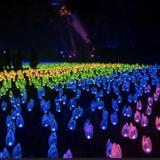 Descanso Gardens - Enchanted Forest of Light
